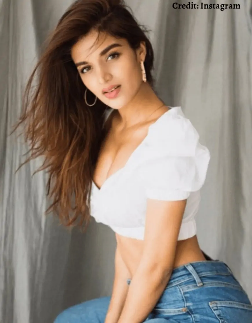 Nidhhi Agerwal Hot, and Sexy Photos: Top Bold and Bikini pics of Nidhi Agarwal