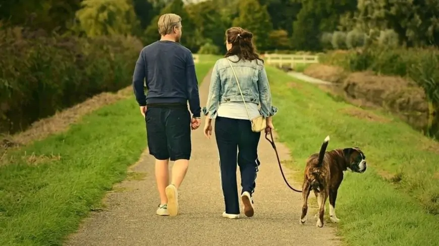 7 reasons to go for a walk every day