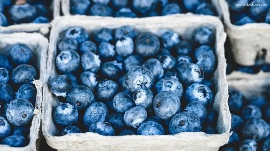 5 incredible benefits of blueberries