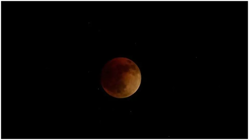 Total Lunar Eclipse 2023: The world watched the blood moon