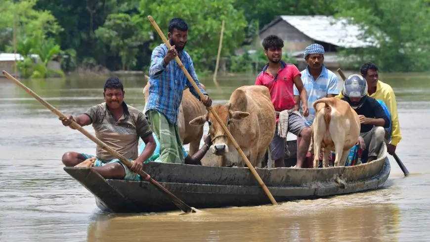 Floods, landslides wreak havoc in Assam, over 6 lakh affected | In photos