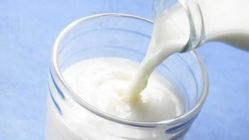 World Milk Day 2023: Health benefits of drinking milk every day