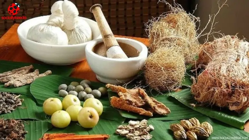 Ayurvedic herbs to keep kidney diseases at bay