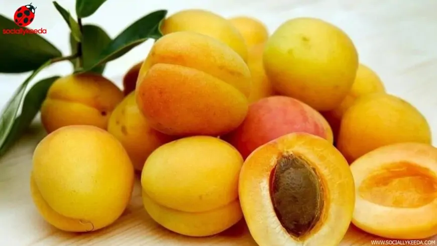 Why you should add apricots to your diet
