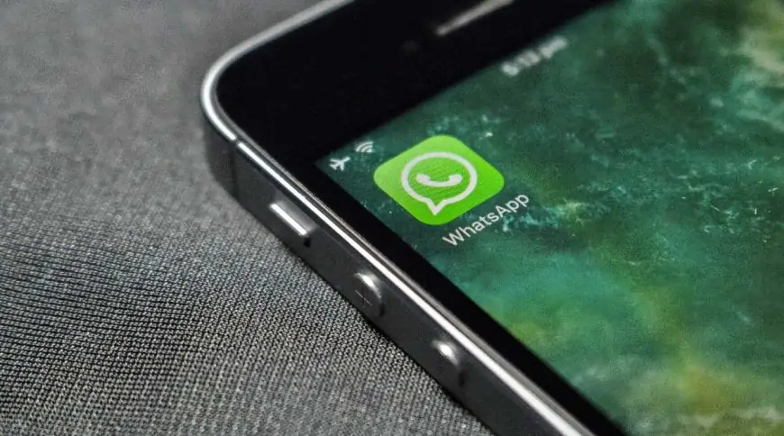 Apprehensive about WhatsApp? A take a look at the three well-liked alternate options for messaging