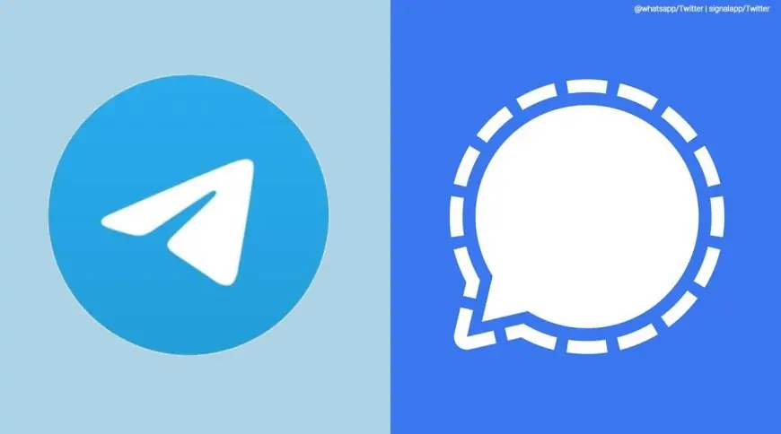 Signal, Telegram: How to stop getting new friends joined alerts
