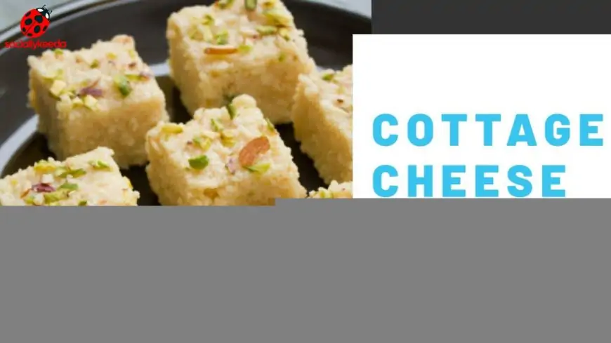 COTTAGE CHEESE BURFI | PANEER BURFI | kalakand with Cottage Cheese