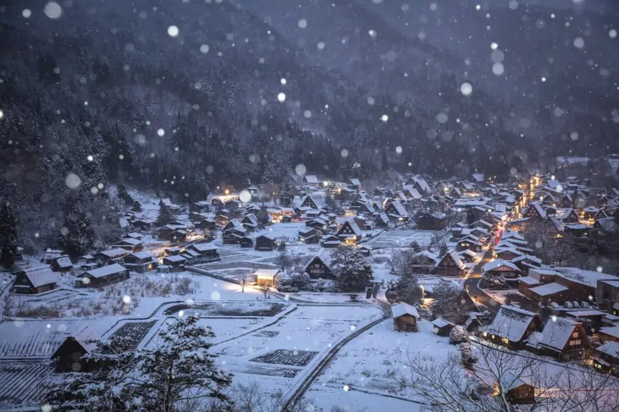 Delicious food, Beautiful Scenery: Explore Central Japan like a Local with the Takayama-Hokuriku Area Tourist Pass! [Part 1]