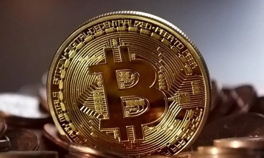 Bitcoin: High risk at what reward?