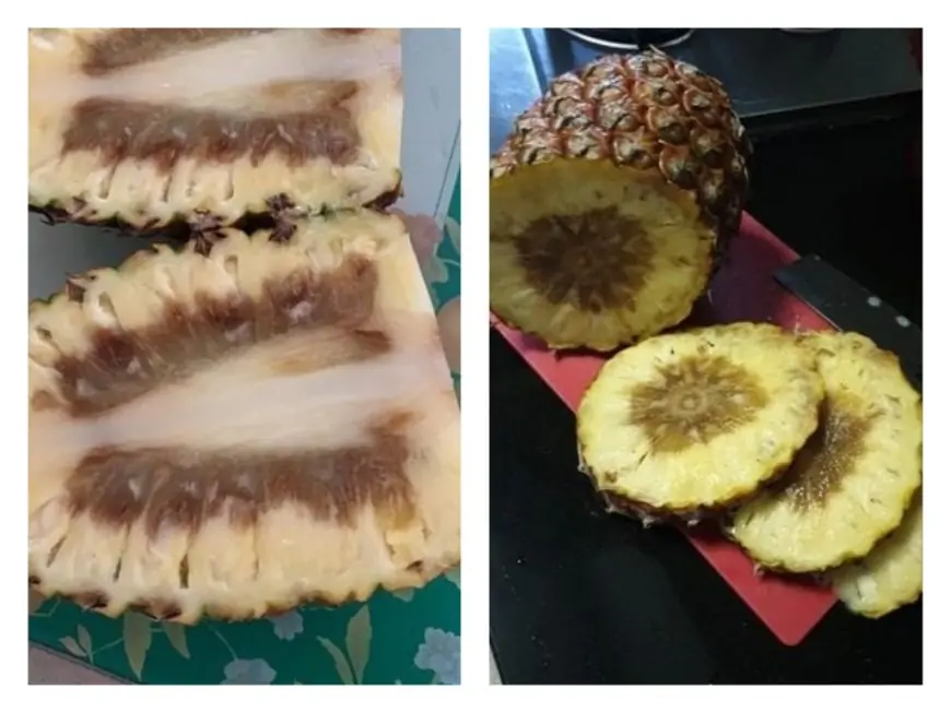 NTUC FairPrice removes Taiwanese pineapples after customer complaints of rotten core