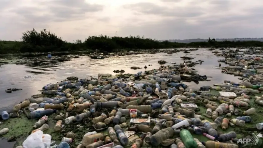 The eco-entrepreneurs waging war on plastic pollution in oceans