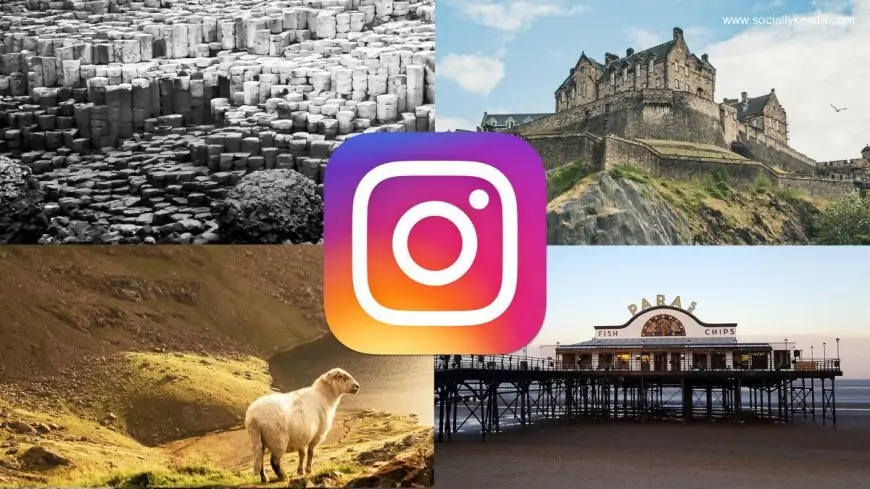 Instagram set to offer three new feed options - so, what's new?