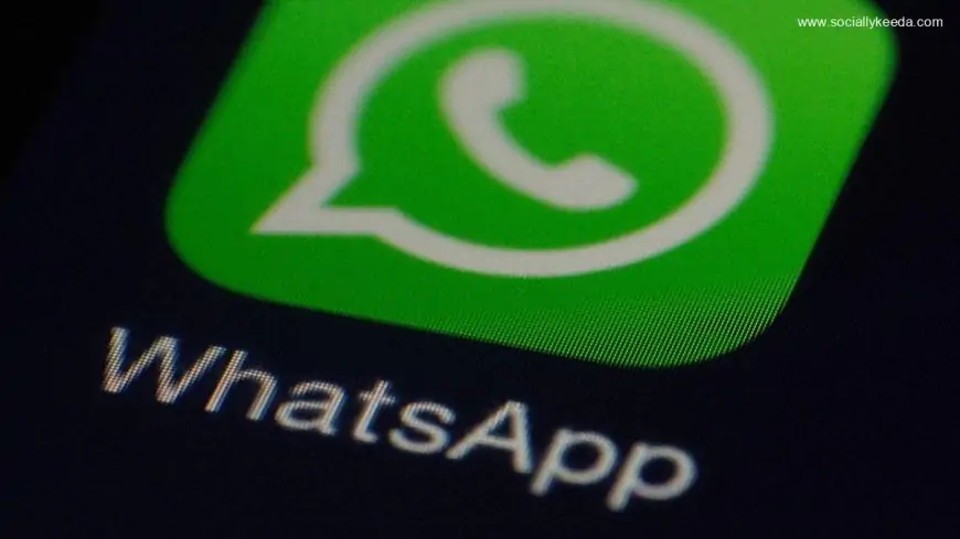 WhatsApp will let you know when people are talking about you