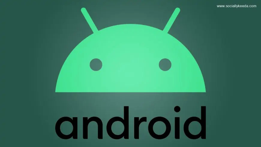 Android 13 release date rumors, supported phones and what we want to see