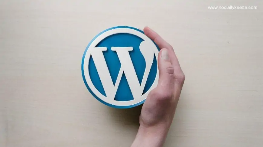 Major WordPress update will make amateurs look like master web developers