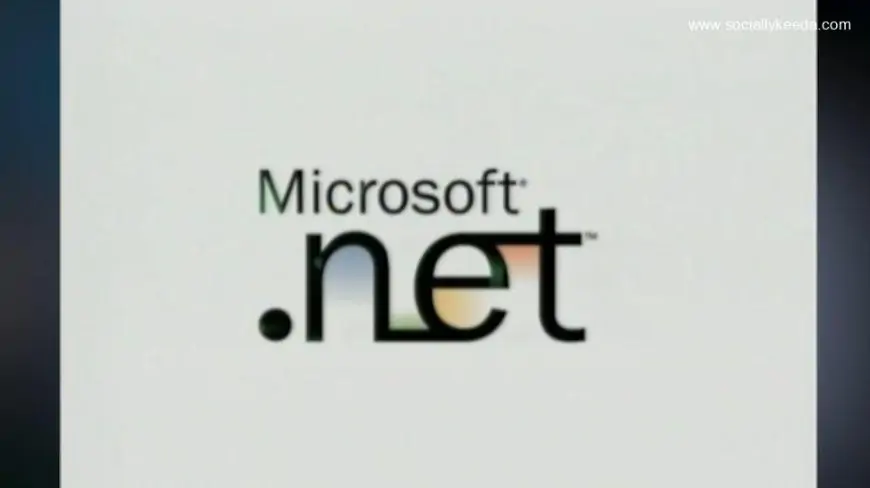 Microsoft .NET is officially 20 years old