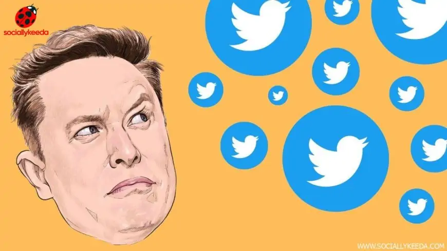 Elon Musk is 'terminating' the Twitter deal