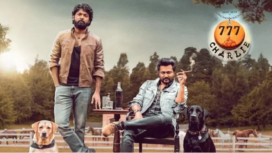 777 Charlie 2021 Hindi Film Cast, Release Date, Trailer – Socially Keeda