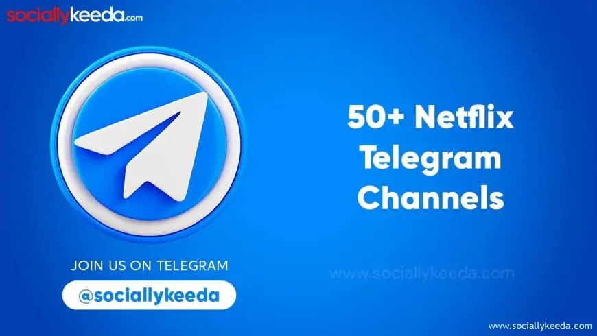 50+ Netflix Telegram Channels to Watch Web Series (2024)