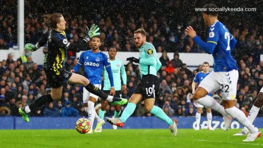 Everton 2–3 Brighton and Hove Albion, Premier League 2021–22 Video Highlights: Alexis Mac Allister Brace Secures Win for the Seagulls