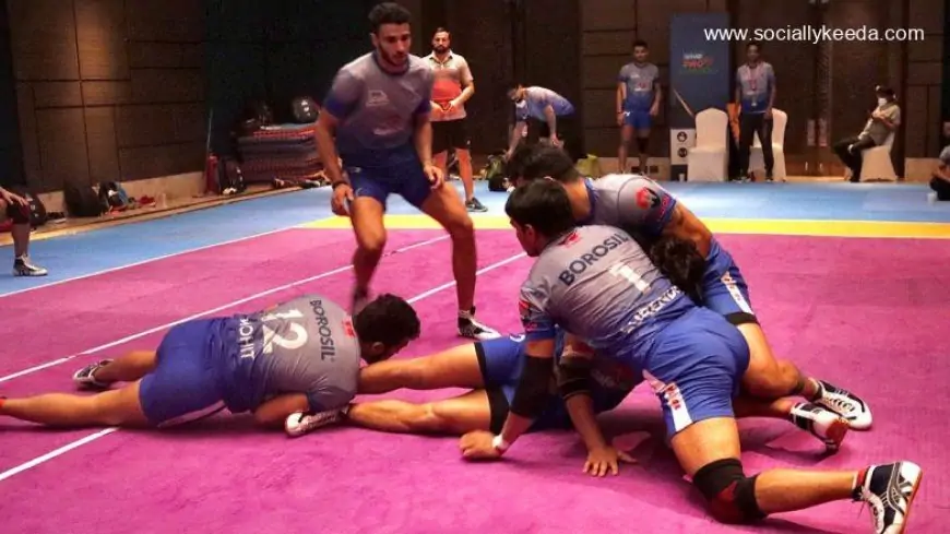 Tamil Thalaivas vs Haryana Steelers, PKL 2021–22 Live Streaming Online on Disney+ Hotstar: Watch Free Telecast of Pro Kabaddi League Season 8 on TV and Online