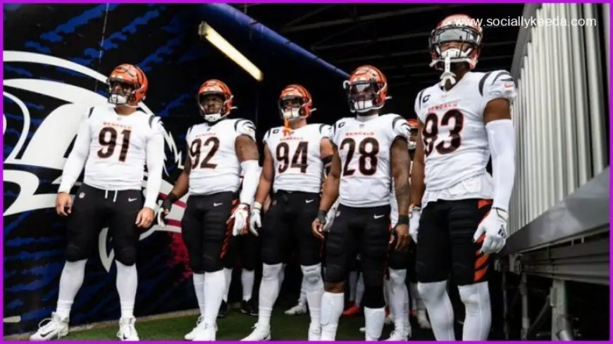 2023 NFL Live Streaming Online and Telecast in India: How to Watch Cincinnati Bengals vs Las Vegas Raiders Wild Card Round Playoffs