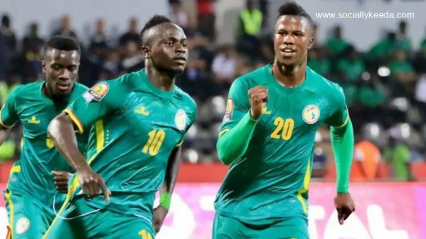 How to Watch Malawi vs Senegal, AFCON 2021 Live Streaming Online in India? Get Free Live Telecast of Africa Cup of Nations Football Game Score Updates on TV