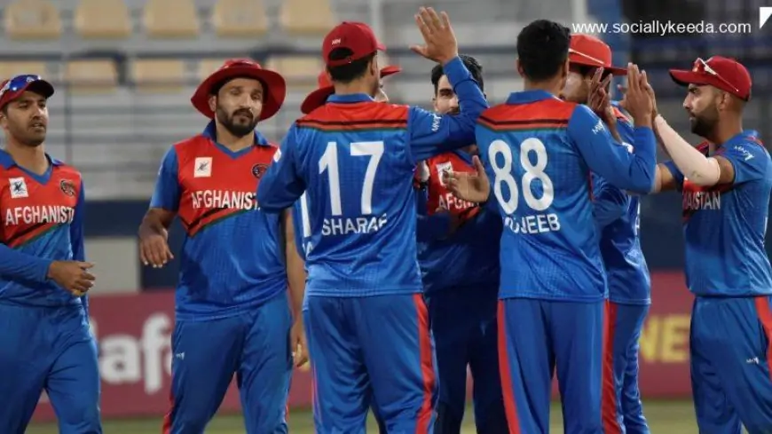 Afghanistan vs Netherlands 3rd ODI 2023 Live Streaming Online: Get Free Live Telecast of AFG vs NED ODI Series on TV With Time in IST