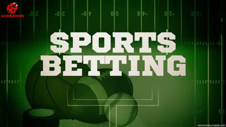 Which Sports are the Most Popular for Betting?