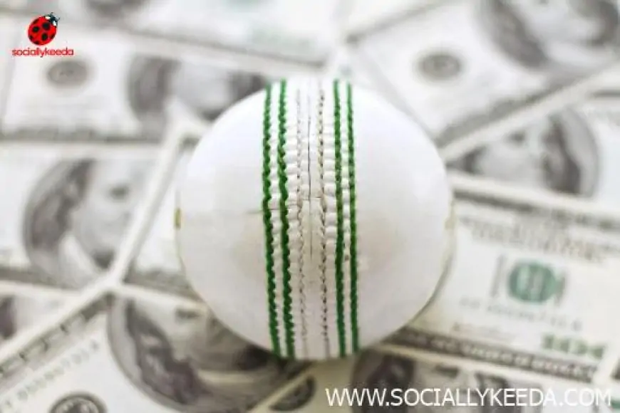 The Best Tips and Strategies to Learn in Cricket Betting