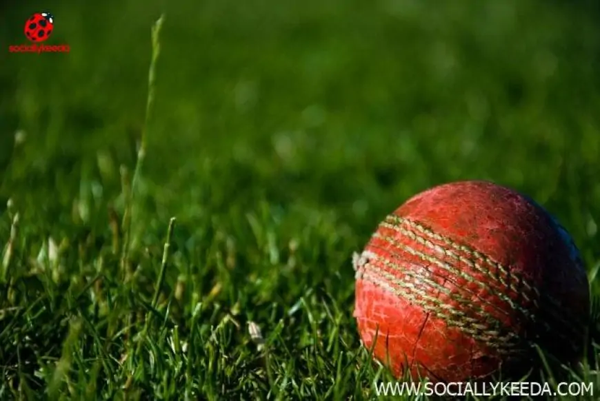 8 Important Tips to Win at Online Cricket Betting