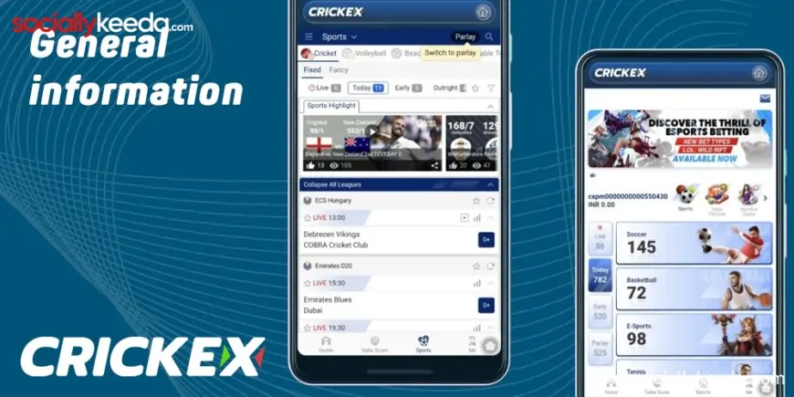 General information about Crickex