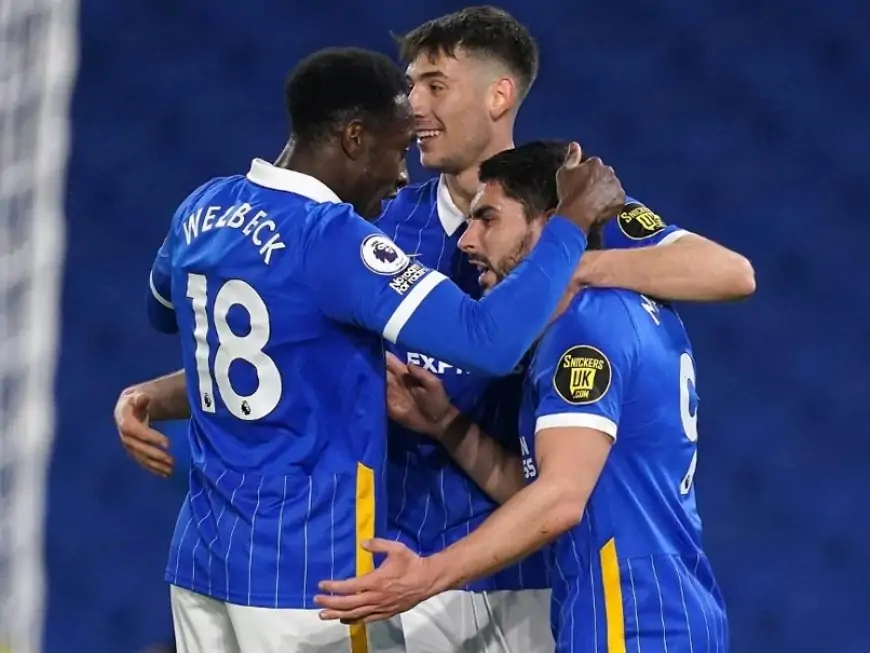 Premier League: Brighton Thrash Newcastle United In Relegation Battle