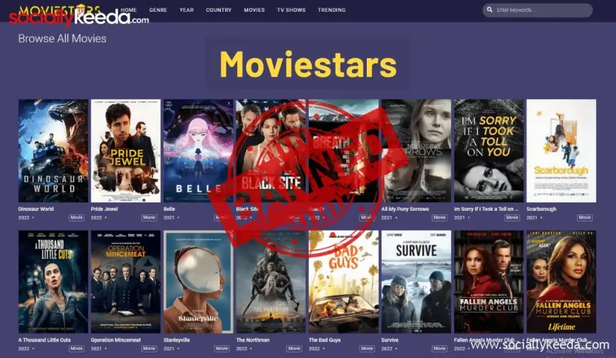 Moviestars 2023: Download Latest Movies and TV Shows For Free