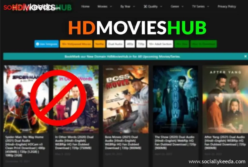 HDMoviesHub Download Hollywood, Bollywood Movies, & Netflix for Free