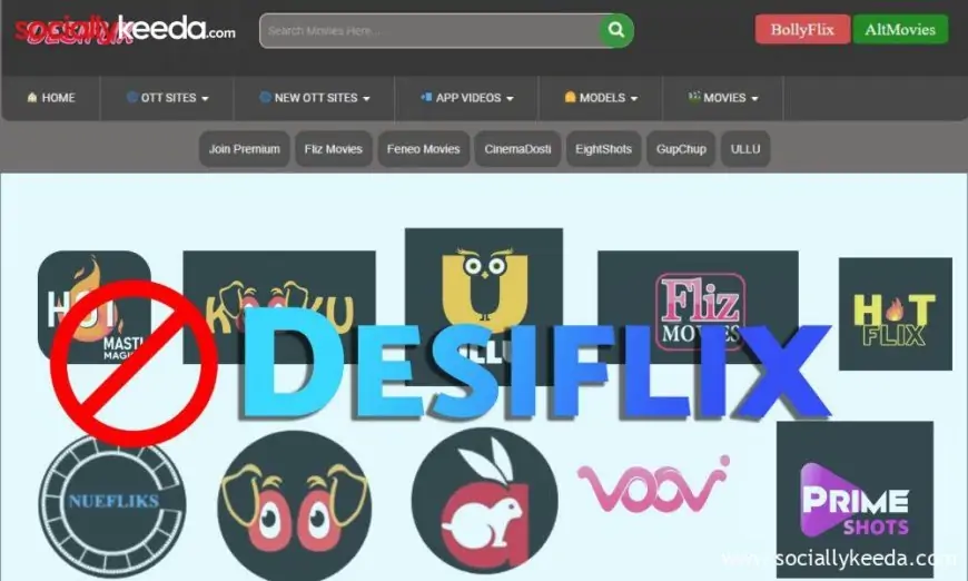 Desiflix 2023: Download Latest Hindi Web Series Online For Free