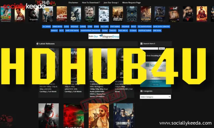 HDHub4u 2024 Download All Bollywood & Hollywood Movies For Free