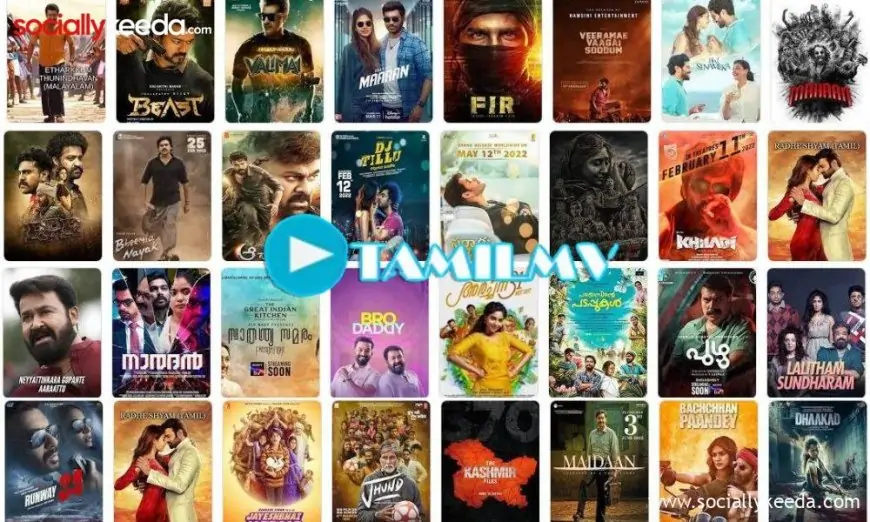 1TamilMV: Piracy Movies Leaks, Whether it has Legal Access to Download?