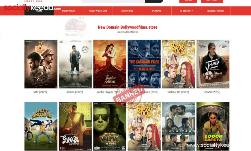 Bollyshare 2023: Download Latest Hindi Movies For Free