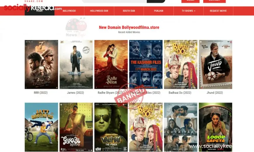 Bollyshare 2025: Download Latest Hindi Movies For Free