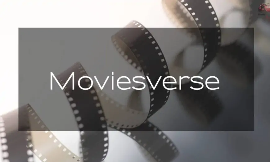 Moviesverse (2023) - Bollywood Movies and Web Series Online