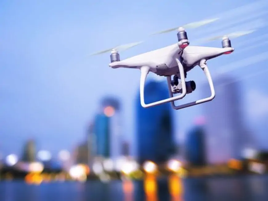 Dubai bans flying drones over public parks