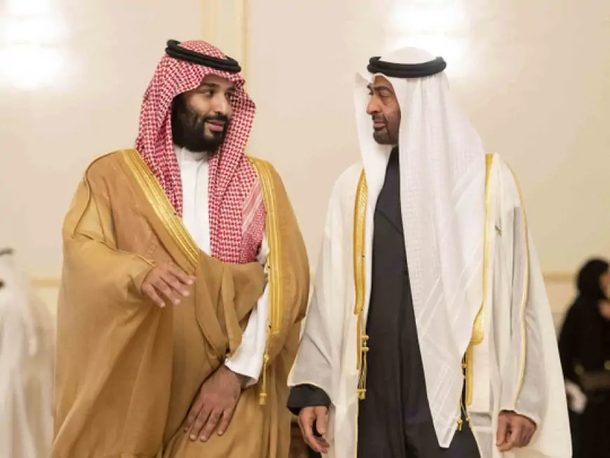 Mohamed bin Zayed, Saudi Crown Prince discuss 'Green Middle East’ initiative