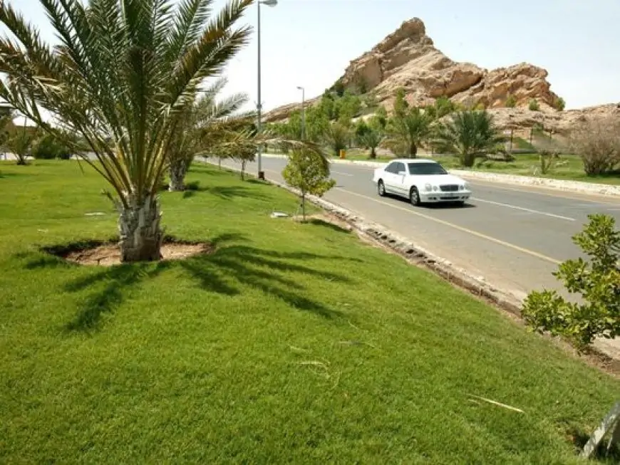 Al Ain City Municipality completes ‘Al Hayer Oasis’ project to promote local culture, farming