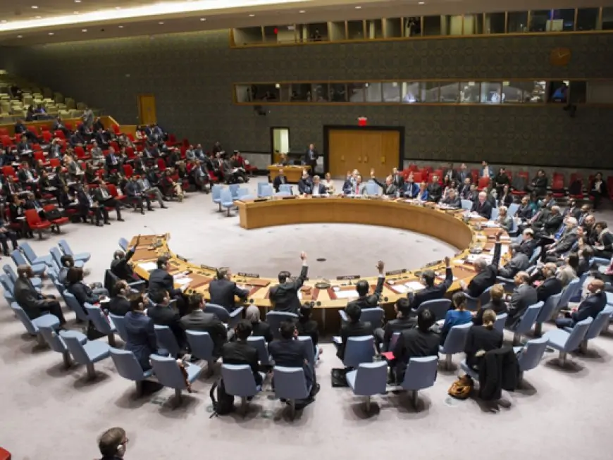 UAE's Security Council seat a recognition of its principled position in facing global challenges
