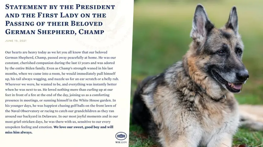 US President Joe Biden And First Lady Mourn Death of Family Dog, Champ, Share Heartbreaking Post on Twitter