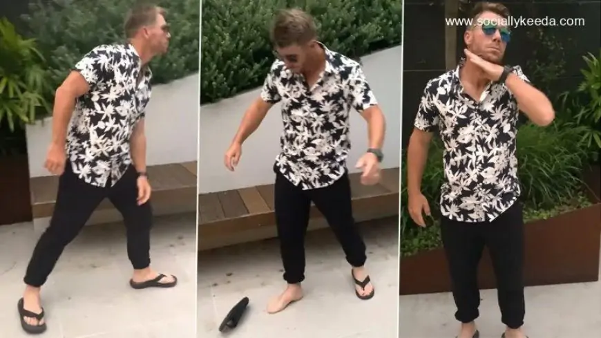 David Warner Grooves to Pushpa Song Srivalli; Australian Ace Cricketer Slays in Allu Arjun’s Dance Moves (Watch Video)