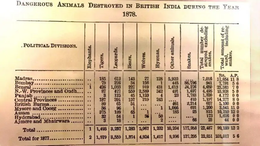 British Government Officially Killed 1579 Tigers for ‘Fun’, See Staggering Figures of Animals Killed by British Raj in Year 1878