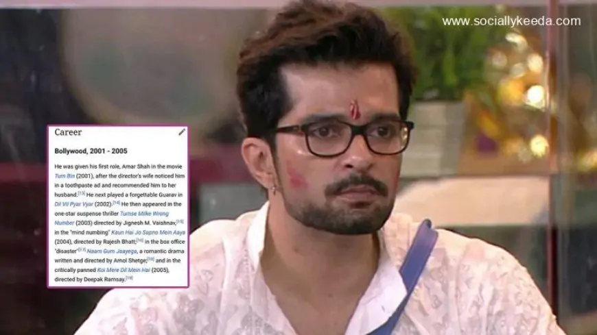 Raqesh Bapat’s Bollywood Career Is a ‘Disaster’ Per His Edited Wiki Page, and We Wonder Who Hates Him So Much! (View Pic)