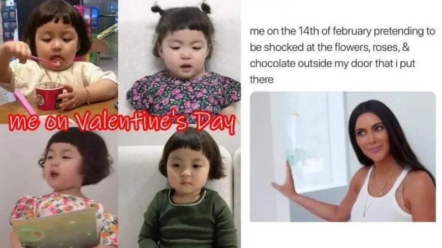 Happy Valentine's Day 2023 Funny Memes & Jokes: From 'Surprising YOURSELF With Flowers' to 'Throwing Rocks at Couples', Check out Hilarious Posts to Celebrate Single Life on February 14